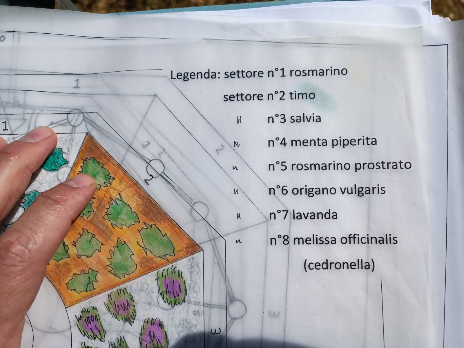 6 Maggio incontro comune di Greci (11)